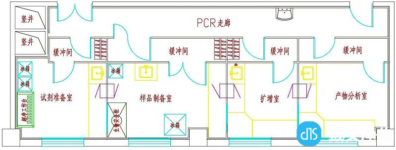 PCR实验室平面布局