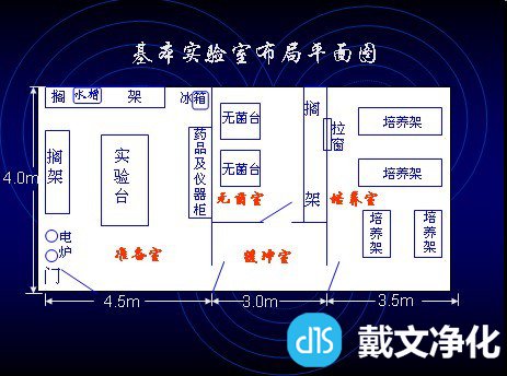 基本实验室布局图